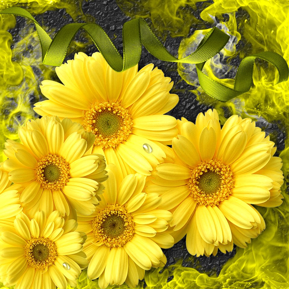 Flower Yellow Sunflower Flowering Plant