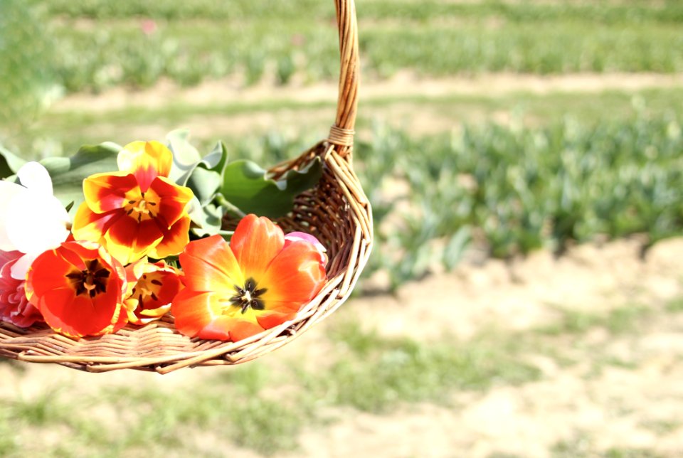 Assorted Flowers On Brown Wicker Basket