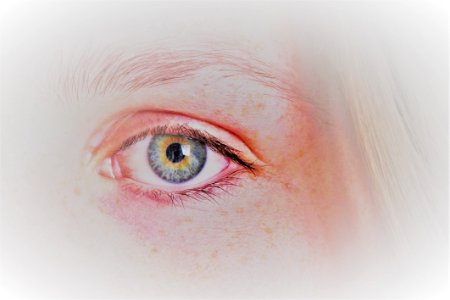 Human Eye Painting