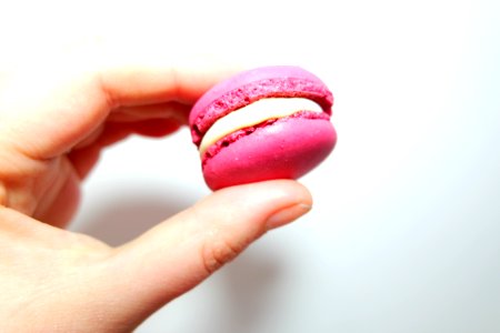 Person Holding Macaroon photo