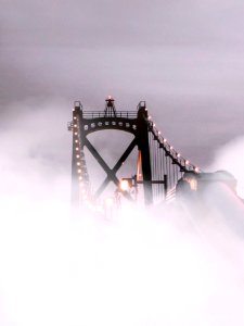 Suspension Bridge Covered With Fog