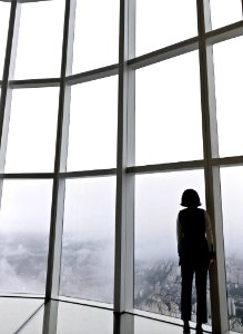 Woman Standing In Front Of Glass Panel Inside Building