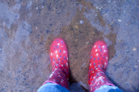 Person Wearing Pink Knee-high Rain Boots Standing On Brown Floor photo