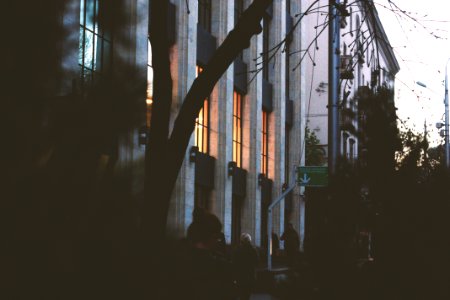 Building And Trees