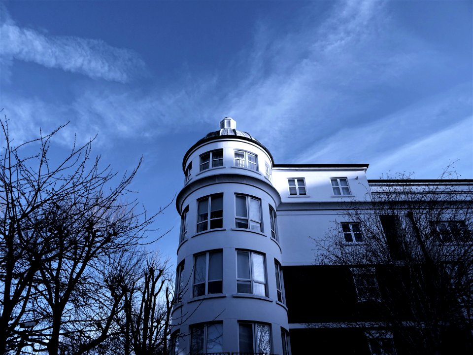 White 4-storey Mansion Surrounded By Bald Trees