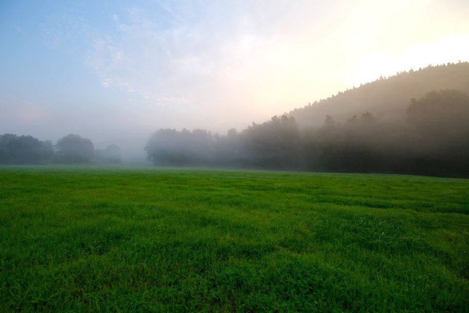 Grassland Field Sky Pasture