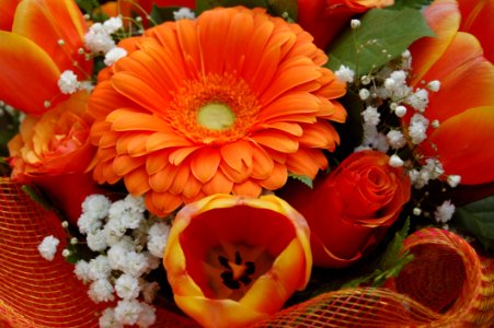 Flower Floristry Gerbera Orange photo