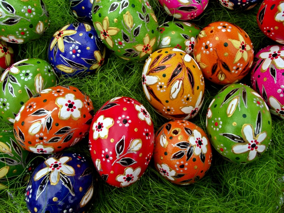 Easter Egg Grass