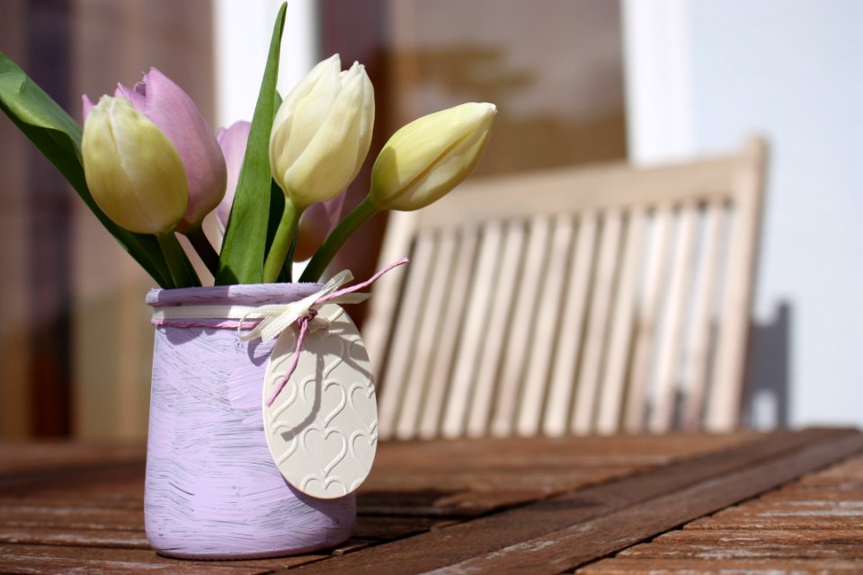 Flower Vase Flowerpot Plant photo