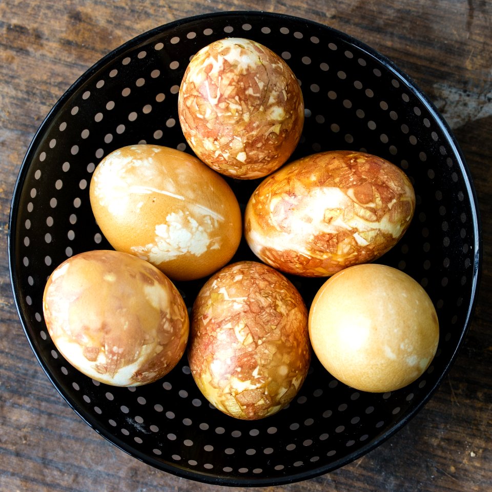 Food Dish Ingredient Bun