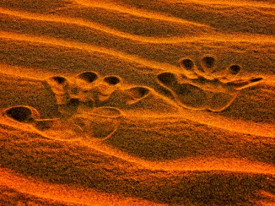 Soil Sand Ecoregion Material photo
