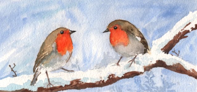 Bird European Robin Fauna Watercolor Paint photo