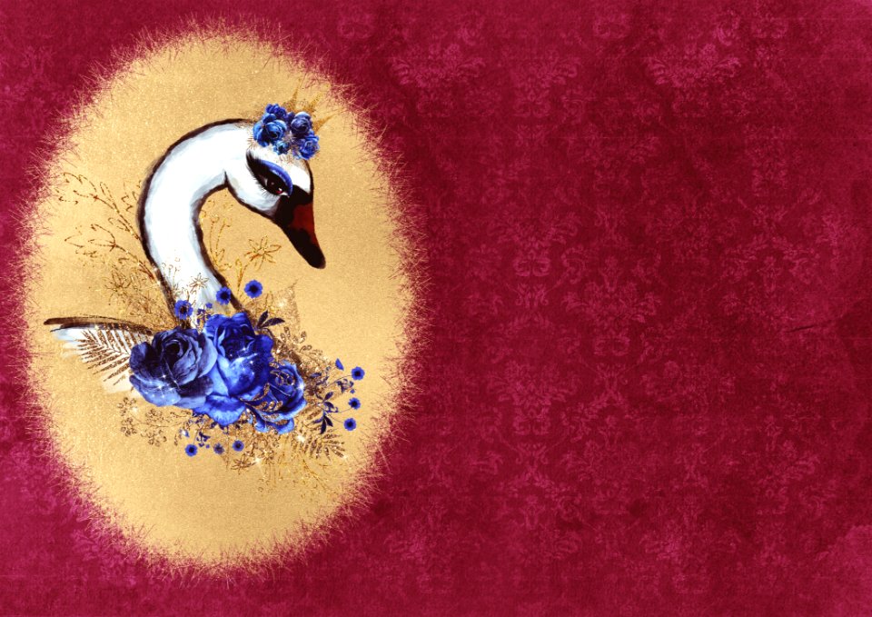 Art Illustration Computer Wallpaper Beak