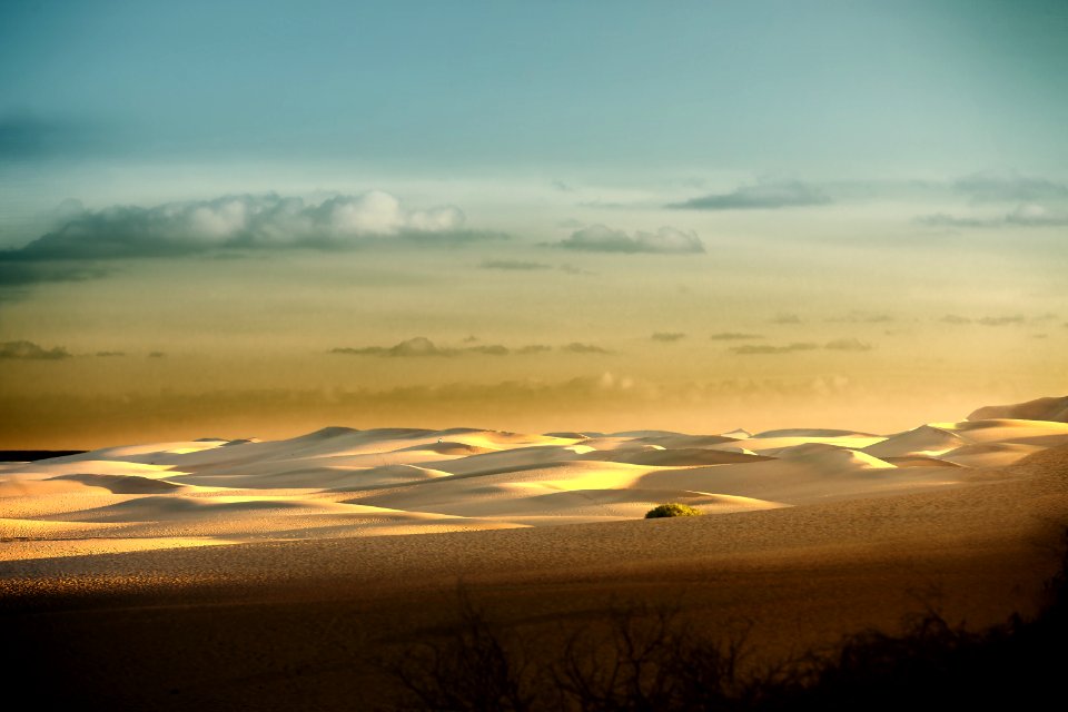 Sky Horizon Ecosystem Morning