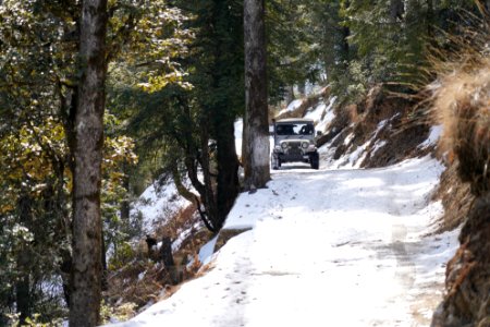Snow Winter Path Trail photo