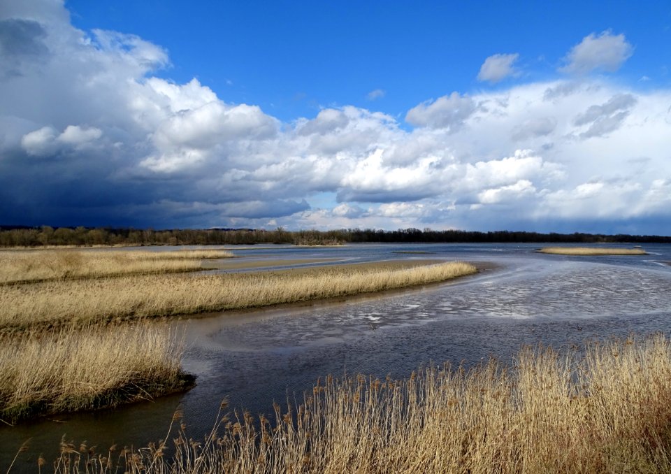 Ecosystem Sky Waterway Wetland