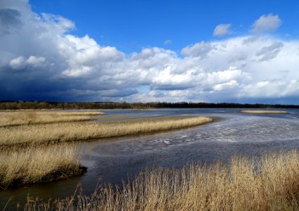 Ecosystem Sky Waterway Wetland