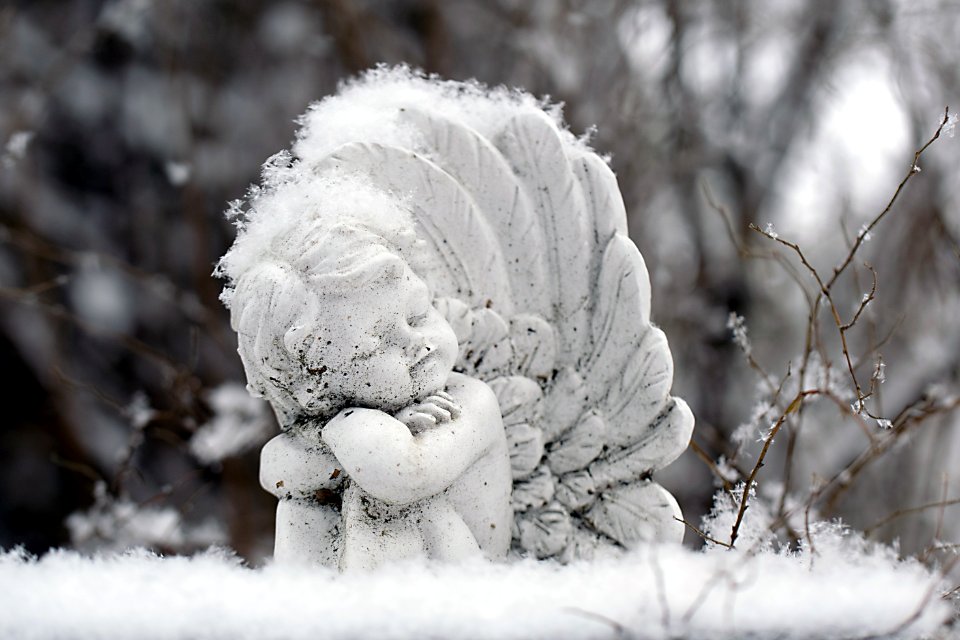 Snow Freezing Winter Frost