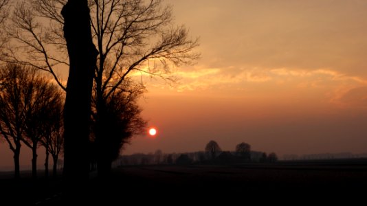 Sky Sunrise Dawn Tree photo