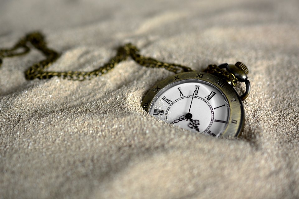 Close Up Photography Macro Photography Sand