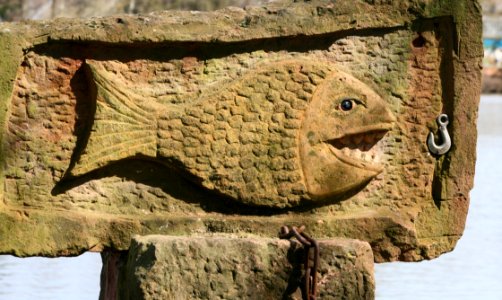 Fauna Archaeological Site Stone Carving Terrestrial Animal