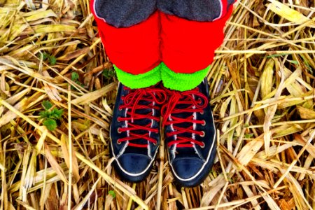 Footwear Yellow Shoe Grass