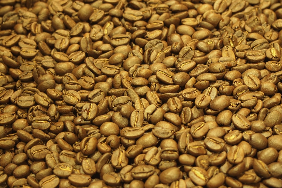 Coffee bean roasting