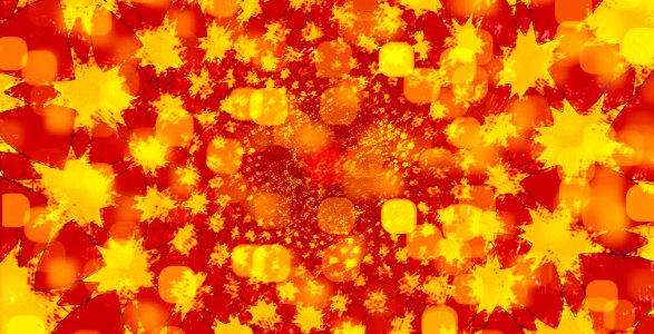 Yellow Orange Flower Petal