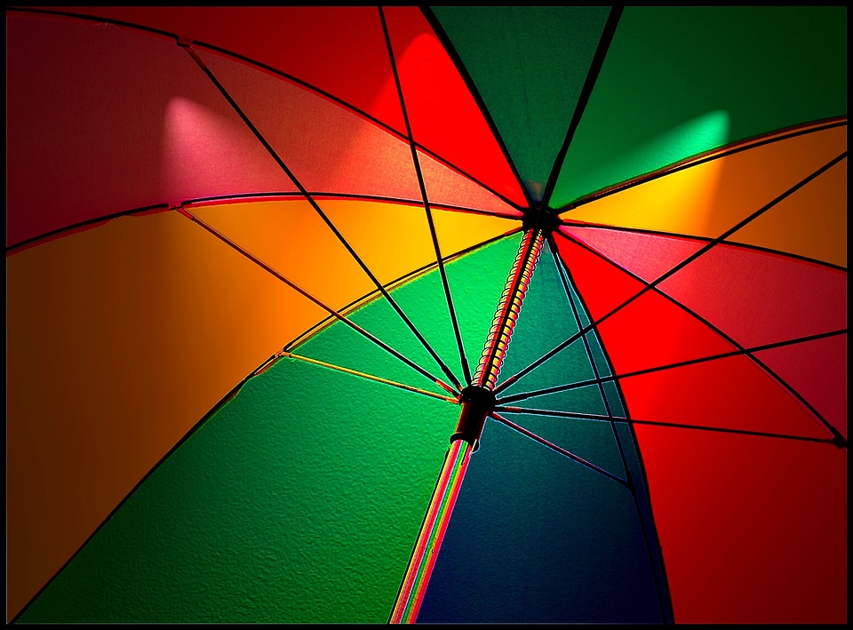 Parasol shade tree colorful