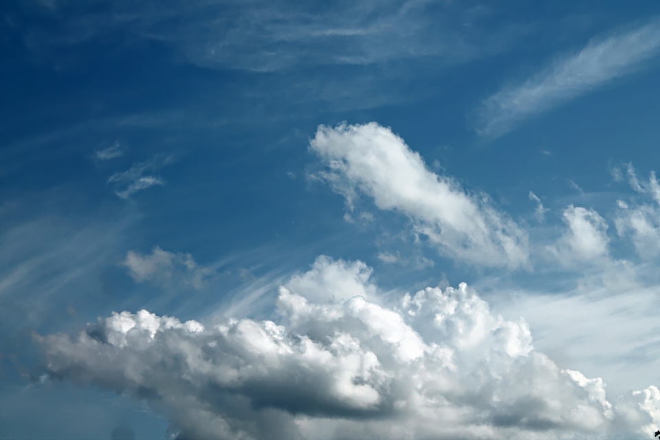 Nature white blue