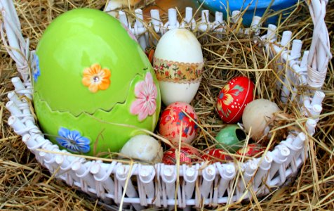 Easter Egg Egg Grass Easter