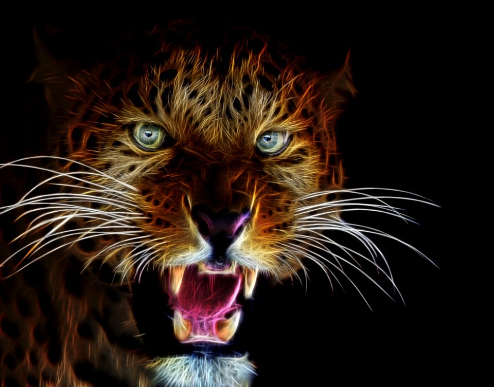 Mammal Wildlife Whiskers Roar