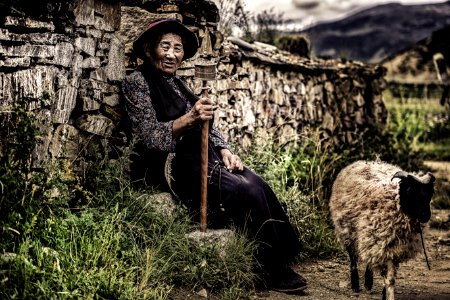 Woman Sitting On Rock Beside Wall And Near Sheep photo