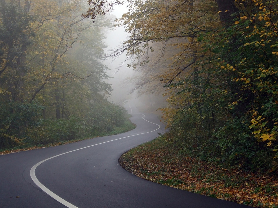 Fog travel autumn