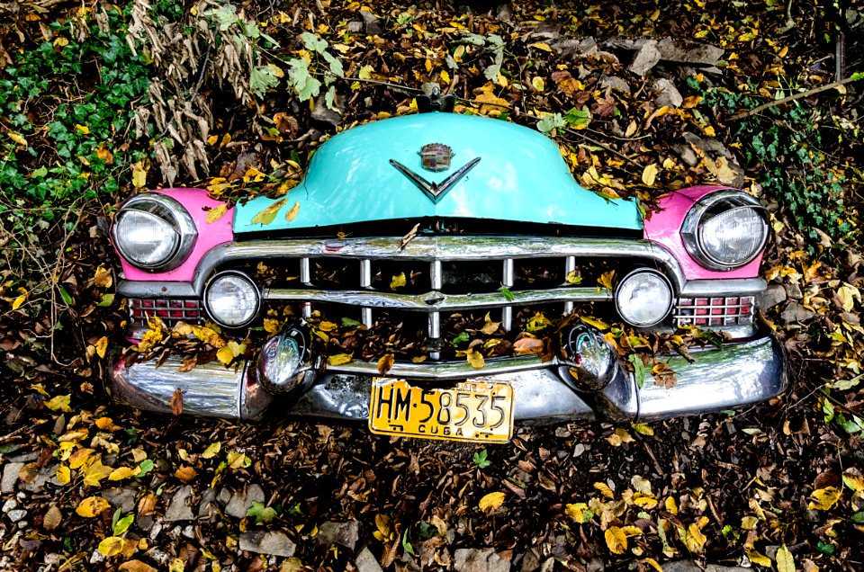 Photo Of Car Covered With Leaves