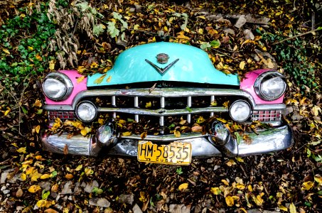Photo Of Car Covered With Leaves