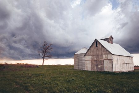 Brown House Near Green Leaf Tree photo