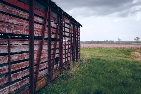 Photo Of Red Wooden Shed On Green Grass Field photo