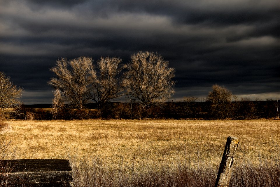 Brown Grass Field Under Black Sky During Nighttime