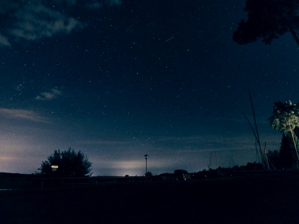 Silhouette Of Trees And Buildings Under Starry Skies