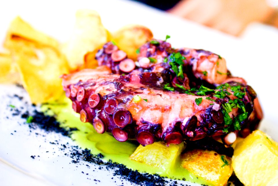 Purple And Brown Food On White Surface