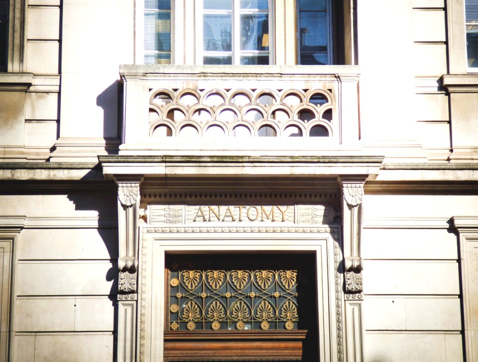 Anatomy Building photo