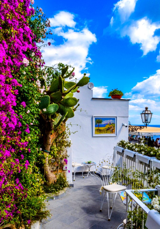 Veranda Surrounded By Green Cactus And Pink Bougainvillea