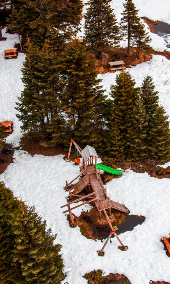 Aerial Photo Of Brown Swings With Slides Near Trees