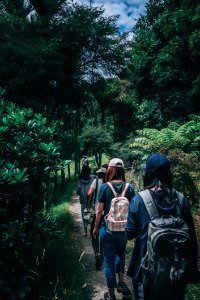 People Wearing Backpacks Walking On Pathway Near Green Leaf Plants