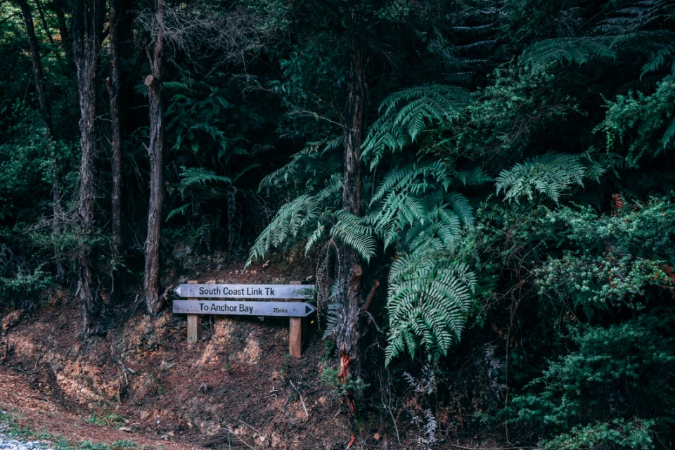 Brown Wooden Signage Near Trees At Daytime