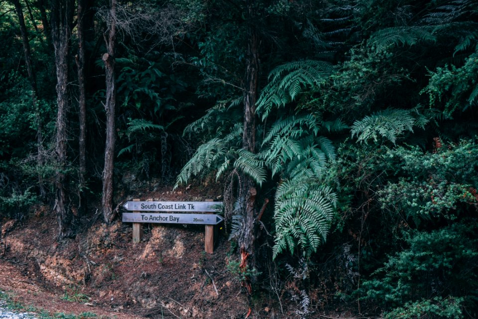 Brown Wooden Signage Near Trees At Daytime photo