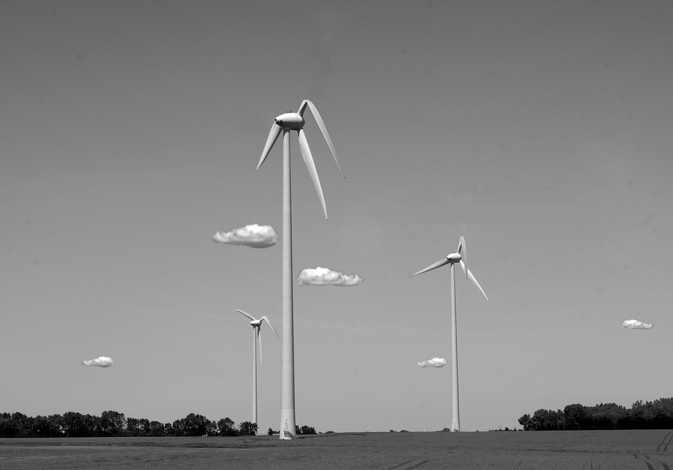 Wind heatwave warm