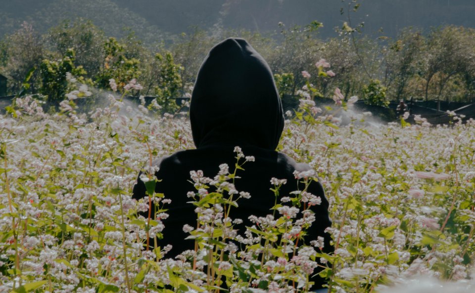 Photo Of Person Wearing Black Hoodie Standing On Flower Field