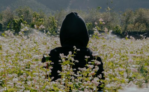 Photo Of Person Wearing Black Hoodie Standing On Flower Field photo
